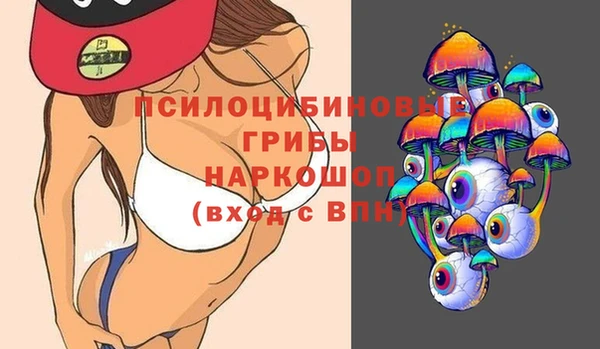 ПСИЛОЦИБИНОВЫЕ ГРИБЫ Бронницы