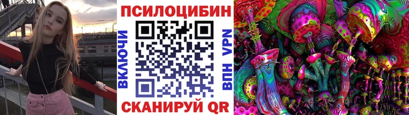 Купить  Октябрьск  Галлюциногенные грибы Cubensis 